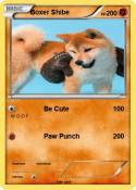 Boxer Shibe