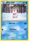 Snow Shibe