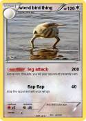 wierd bird