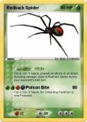 Redback Spider