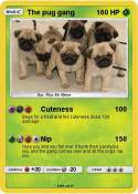 The pug gang