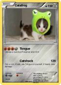 Catafrog