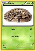 Python