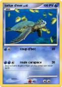 tortue d'mer