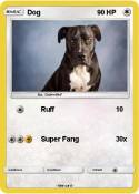 Dog