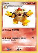 bowser
