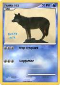 husky mix
