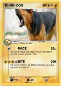 TOUGH DOG