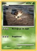aigle