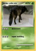 border collie
