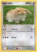 lapin crétin