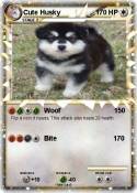 Cute Husky