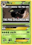 pug