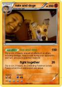 nate and doge