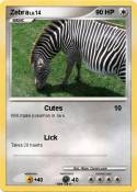 Zebra