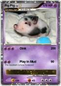 Pig Pig
