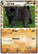 Dat pug