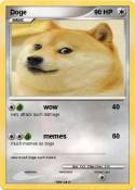Doge
