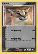 Kattiboi
