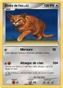 Etoile de feu