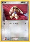PTDR