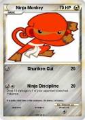 Ninja Monkey