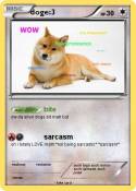doge:3