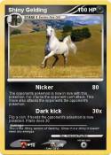 Shiny Gelding