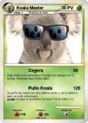 Koala Master