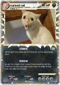 cursed cat