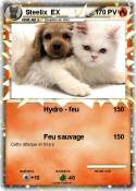 Steelix EX