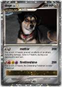 doge