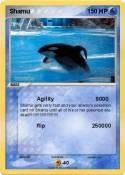 Shamu