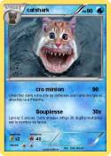 catshark