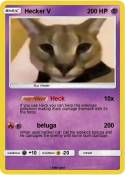 Hecker V