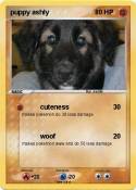 puppy ashly