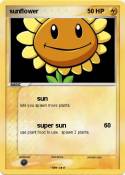 sunflower