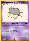 cook pusheen