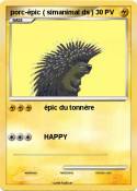 porc-épic (