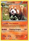red pandaz