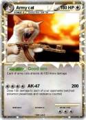 Army cat