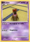 M0N chien
