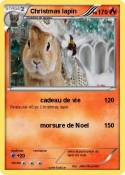 Christmas lapin