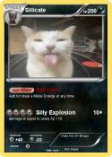 Sillicate