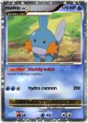 mudkip