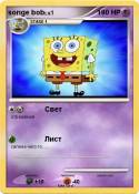 songe bob