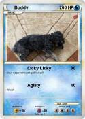 Buddy