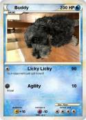 Buddy
