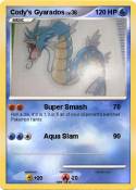 Cody's Gyarados