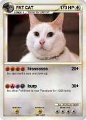 FAT CAT
